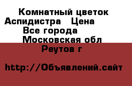 Комнатный цветок Аспидистра › Цена ­ 150 - Все города  »    . Московская обл.,Реутов г.